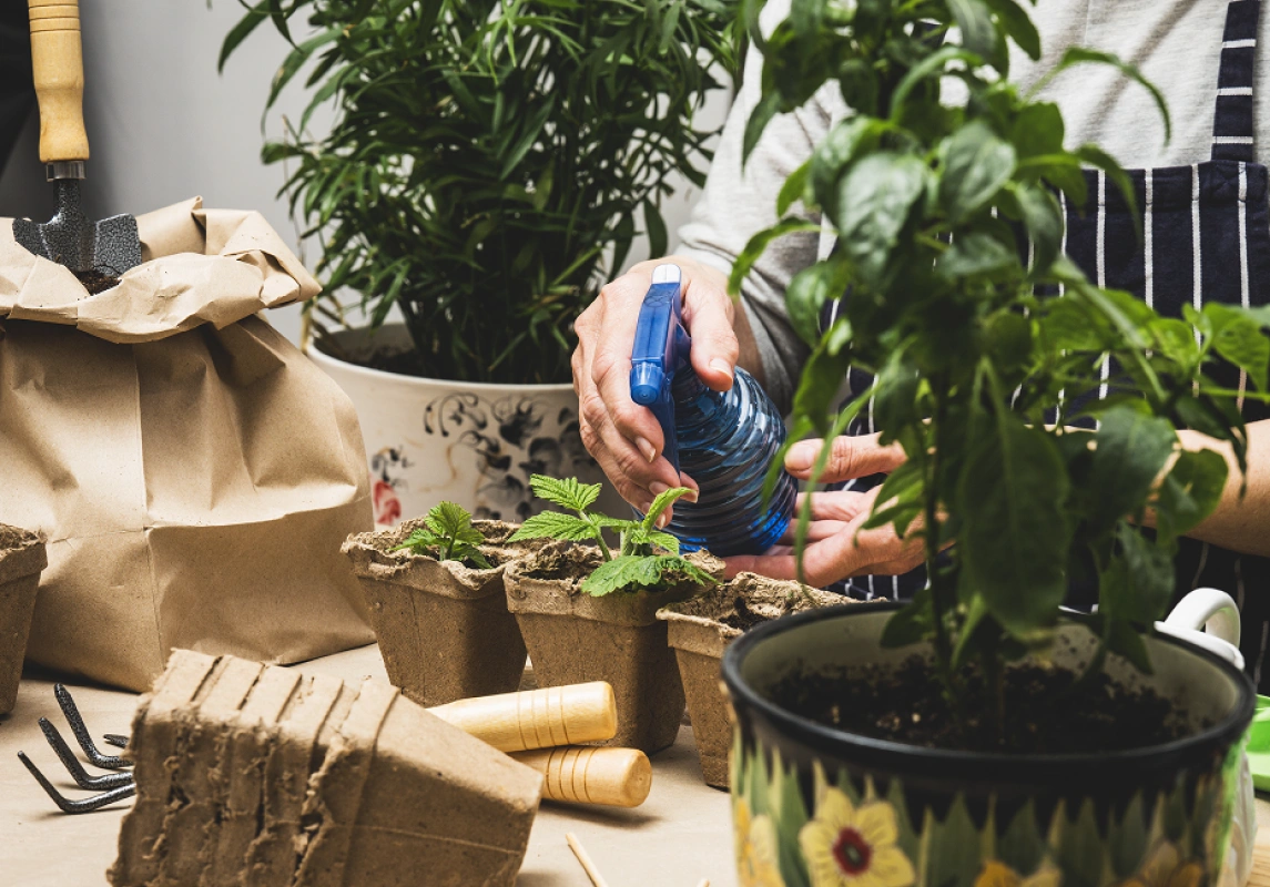 Plants maintenance home page Plants maintenance home page