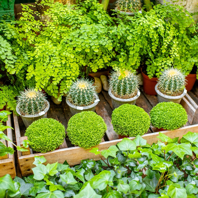 Transform outdoor space