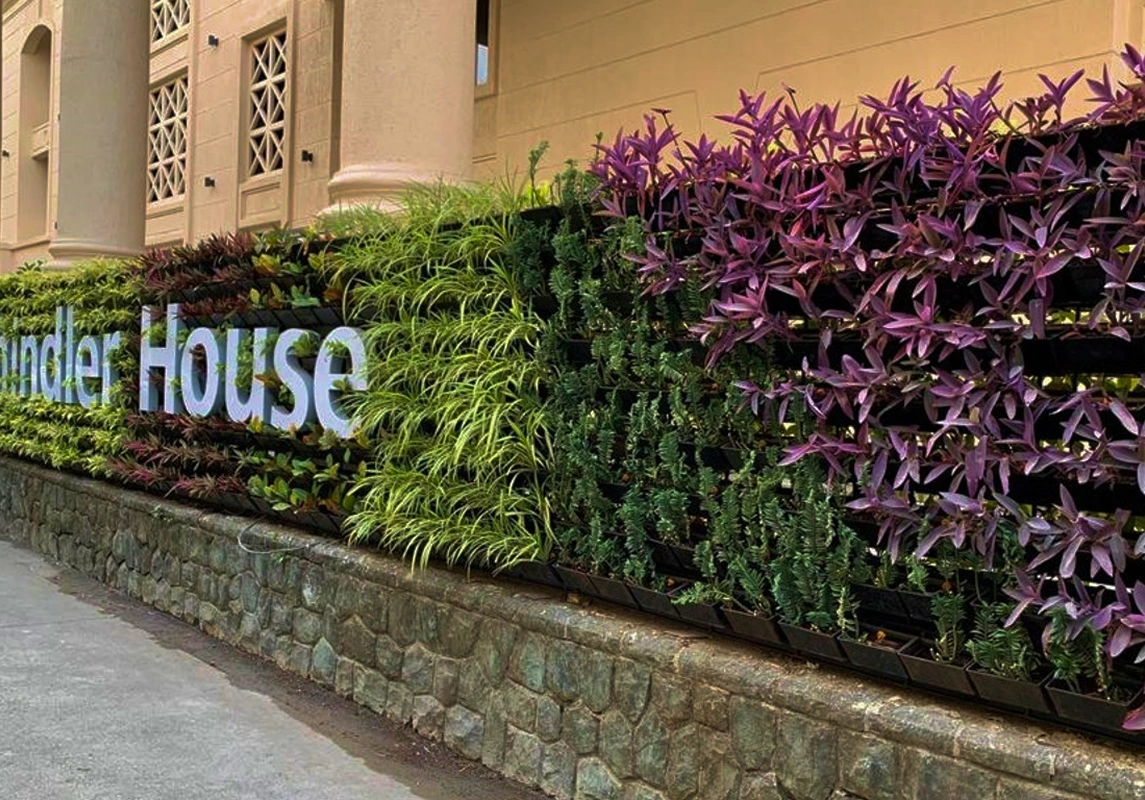 vertical garden home page vertical garden home page