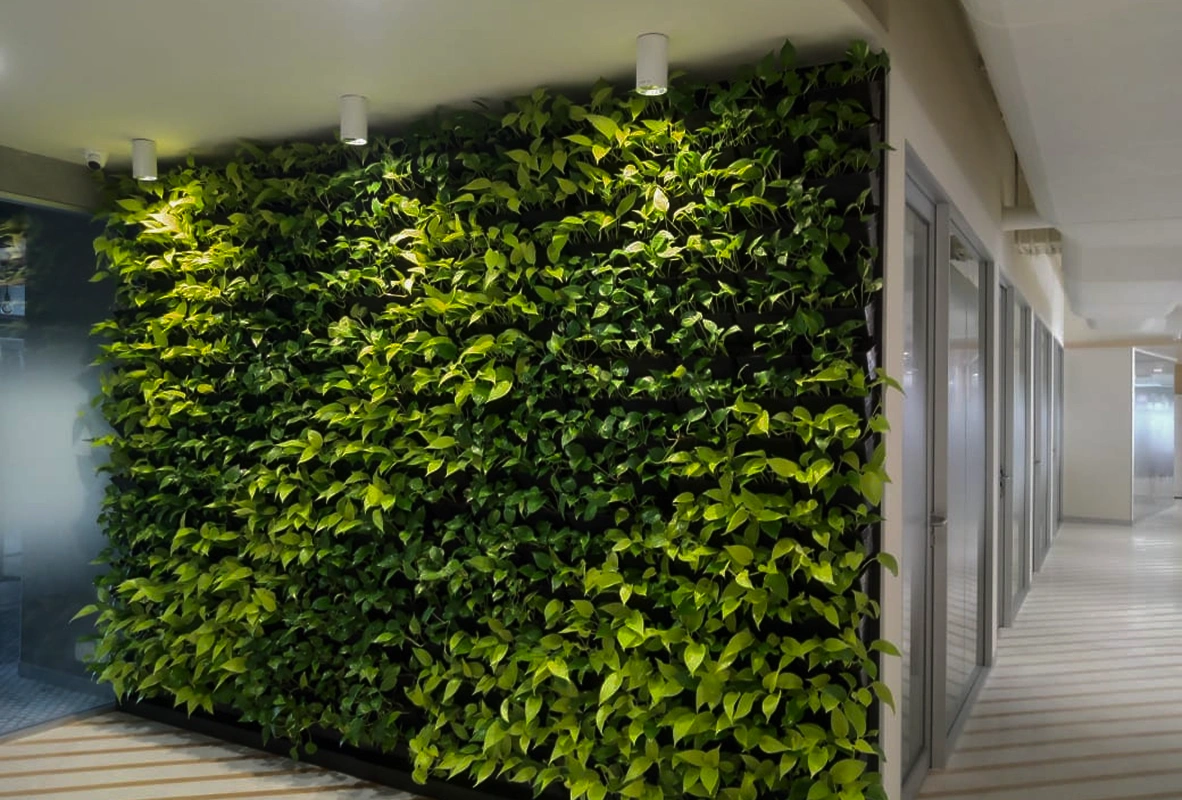 vertical garden inside image 2 vertical garden inside image 2