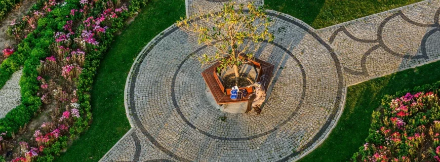 How to Care for Your Outdoor Garden (Main IMage) (1)