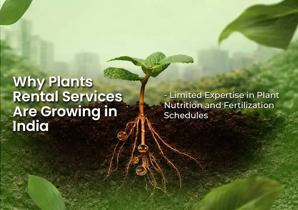 ultimate_guide_to_plant_rental_services_1_1_1x