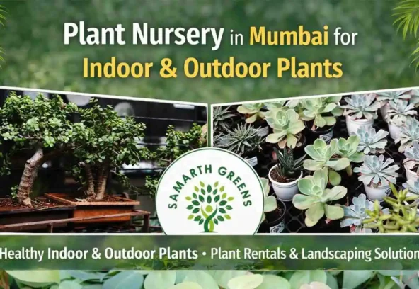 Best Plant Nursery in Mumbai