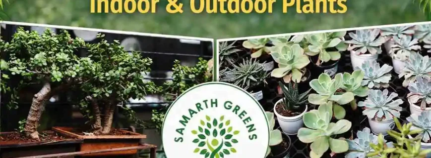 Best Plant Nursery in Mumbai