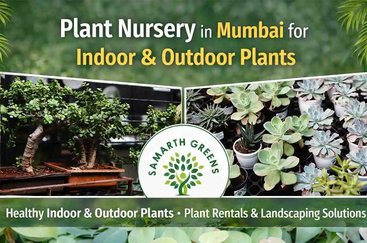 Best Plant Nursery in Mumbai