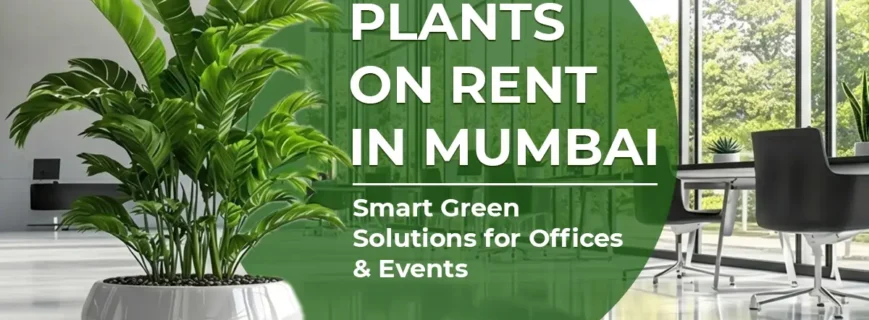 Plant-rental-services 1200x-900