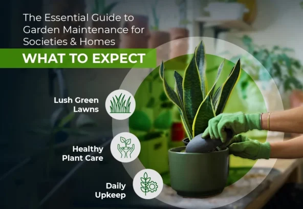 guide-to-gardening-services