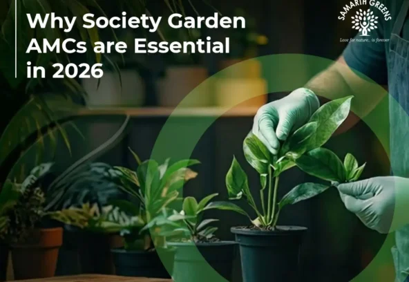 Garden AMC for Residential Societies in Mumbai