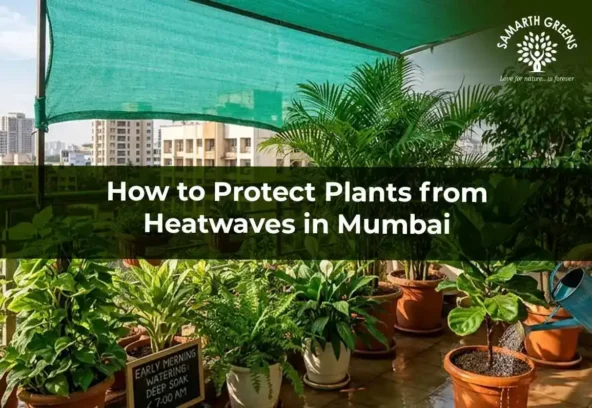 blog_banner_1200_x_796_px_2_1